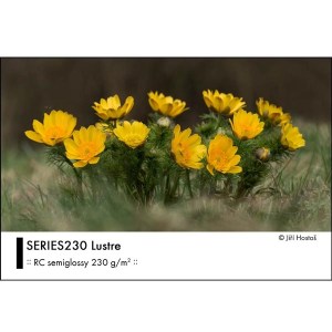SERIES230 Lustre 01